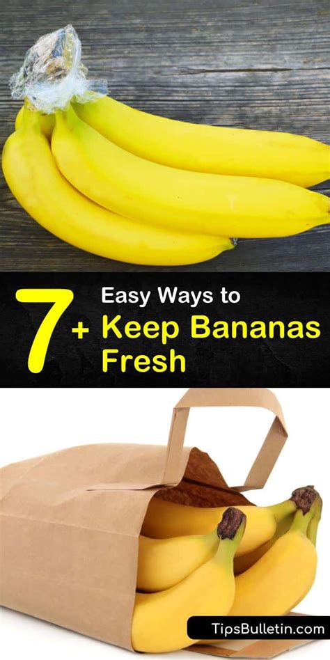 How to keep bananas fresh - Oct 13, 2021 ... Store bananas in a cool place · Keep them away from other fruits · Wrap their stems in plastic · Refrigerate ripe ones · Squeeze citrus...
